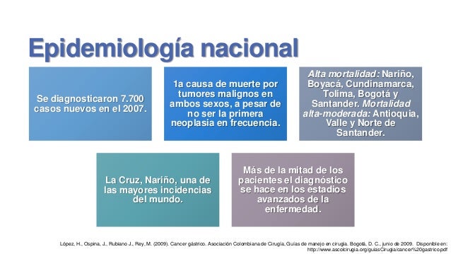 cancer gastrico en nario